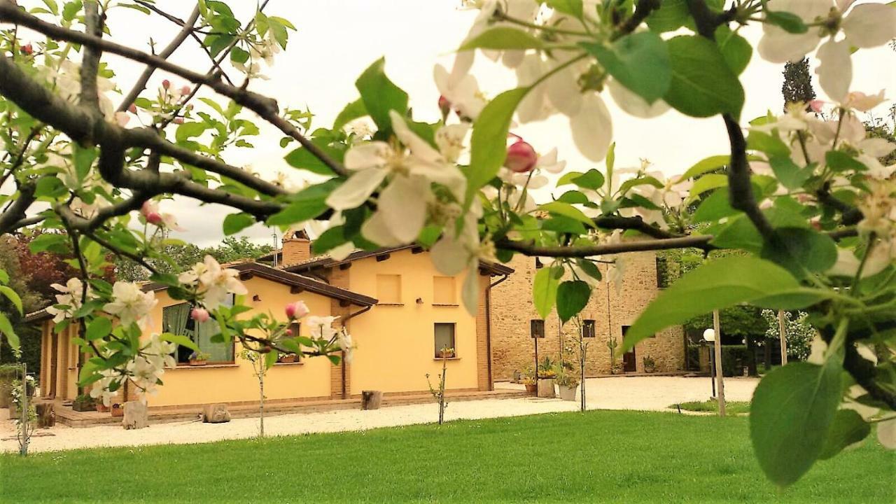 מלון Petrignano Agriturismo Il Podere מראה חיצוני תמונה