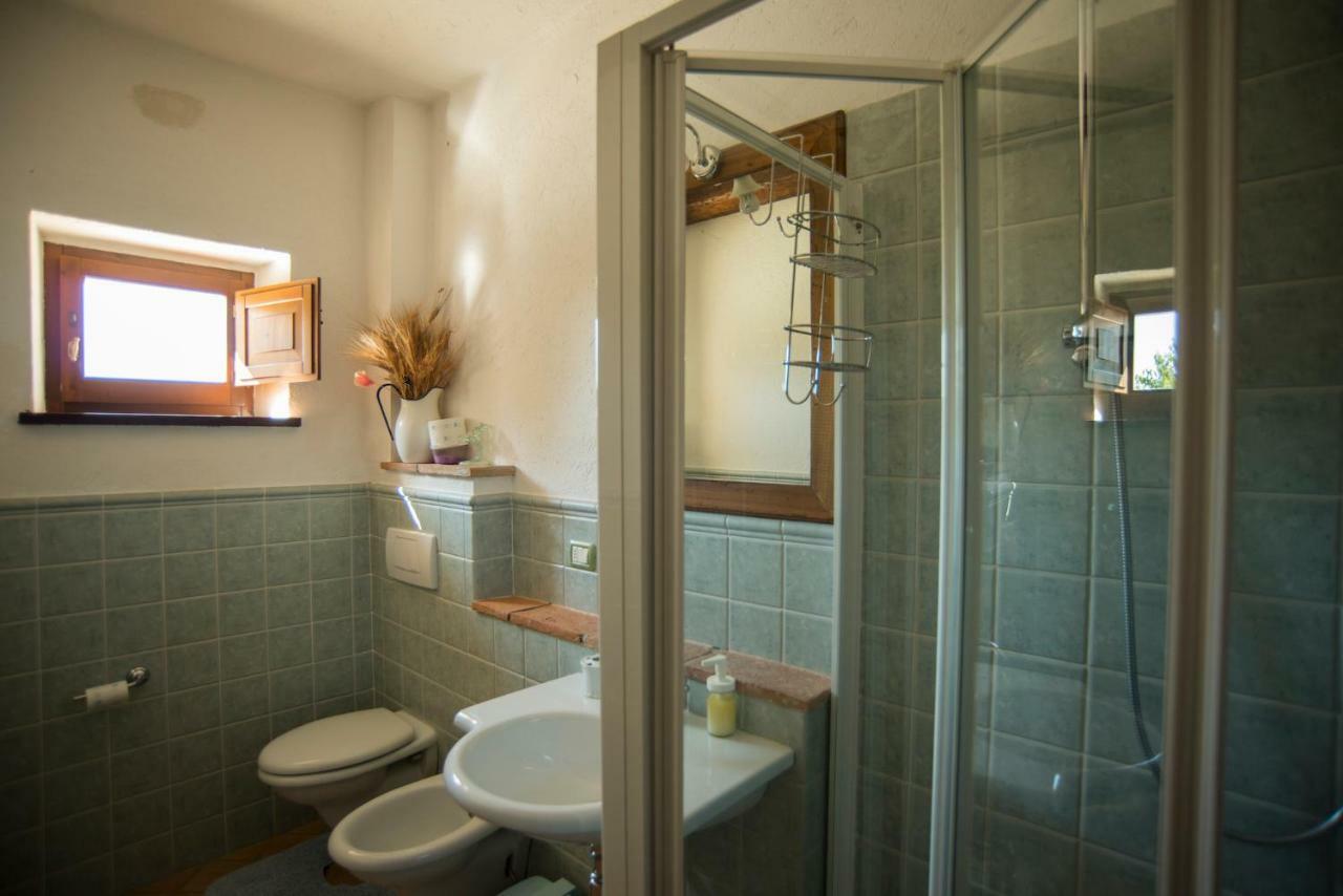 מלון Petrignano Agriturismo Il Podere מראה חיצוני תמונה