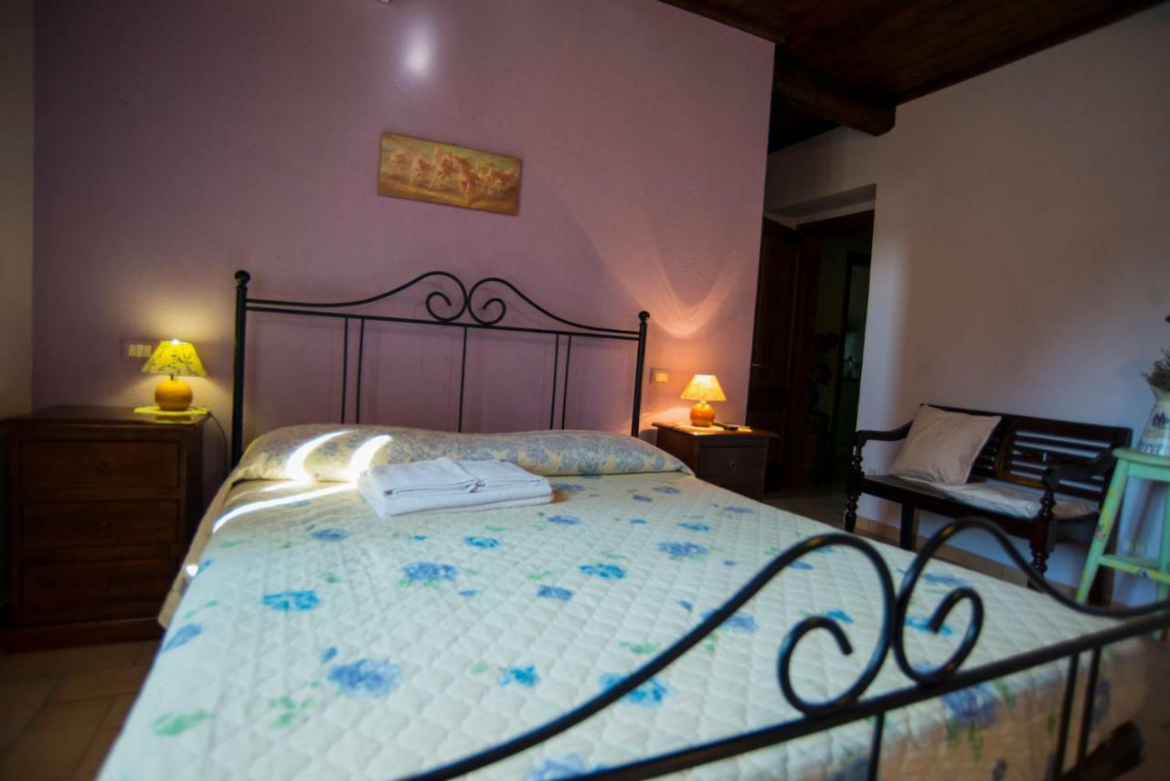 מלון Petrignano Agriturismo Il Podere מראה חיצוני תמונה